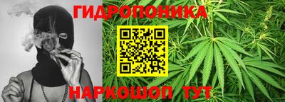 гашиш Обь